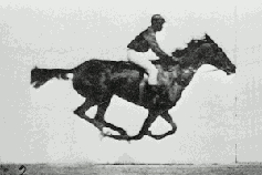 J-E Nyström animuotas žirgas, padarytas sujungus Edweard Muybridge nuotraukas (1887)